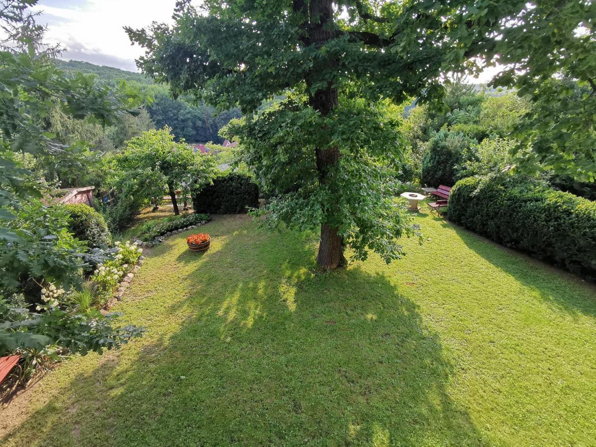 Tuenderi Csalados Miskolc
